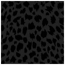 Ebony & Ivory Cheetah Print