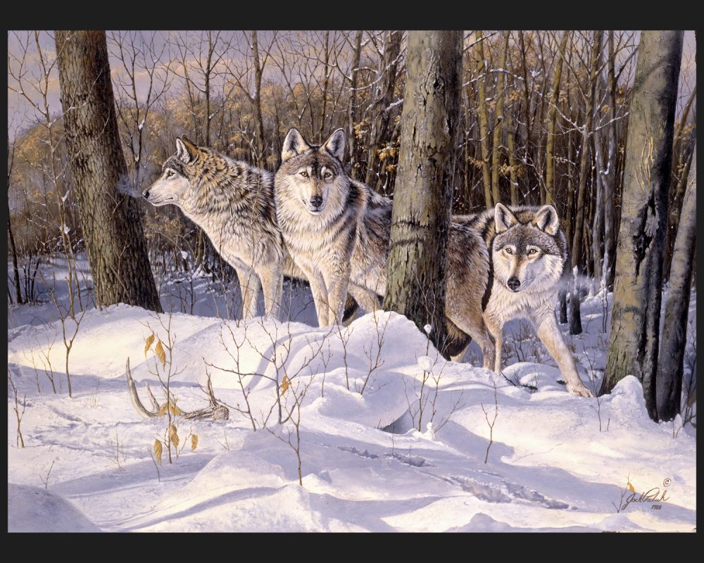 Silent Tracker Wolf Panel
